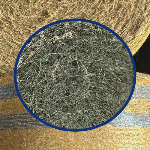 Round Bales