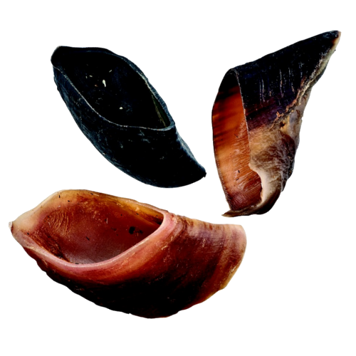 Jones Natural Hooves (Beef Hooves)