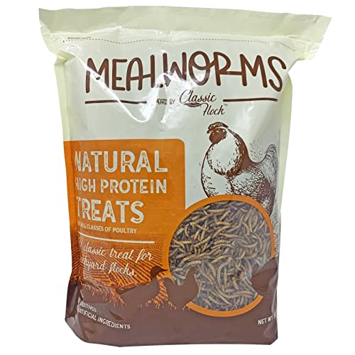 Classic Flock Dried Mealworms