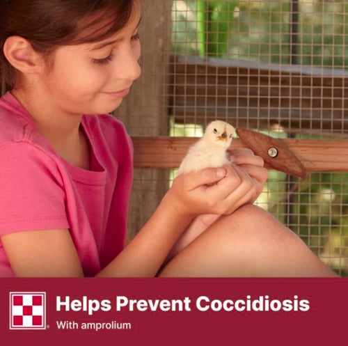 Purina® Start & Grow® Medicated Chick Feed