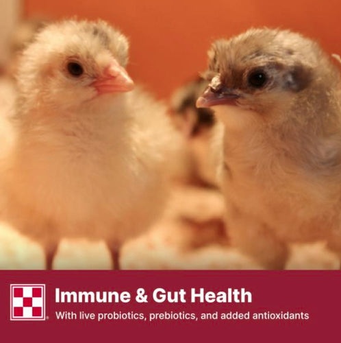 Purina® Start & Grow® Medicated Chick Feed